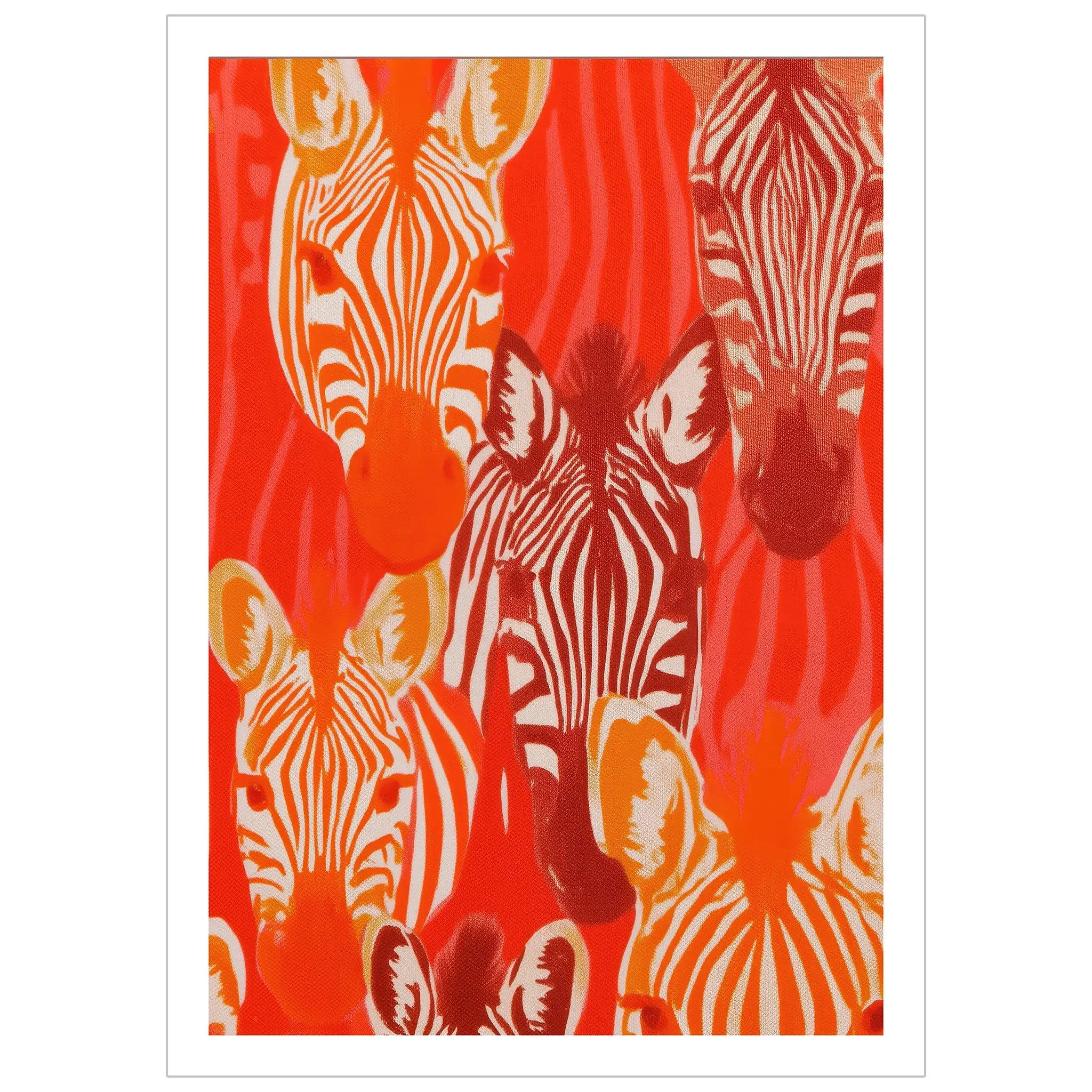 Studio Zebre