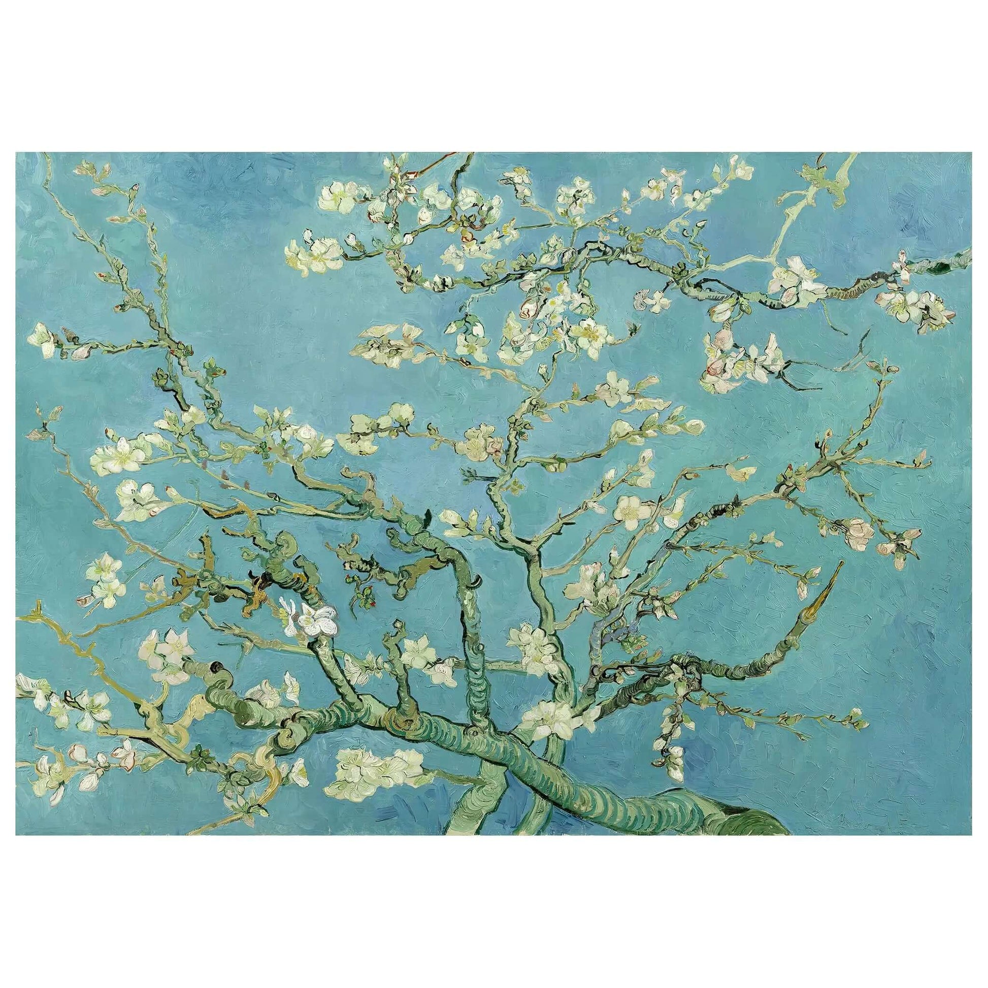 Orecchini artistici Vincent van Gogh Mandorla Blossoms disponibili in stili Clip-on, Stud & Drop, 1.2cm x 1.2cm, Acciaio inossidabile Orecchini artistici Vincent van Gogh Mandorla Blossoms disponibili in stili Clip-on, Stud & Drop, 1.2cm x 1.2cm, Acciaio inossidabile