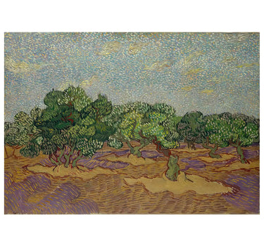 Vincent van Gogh - The Olive Trees - Peintio