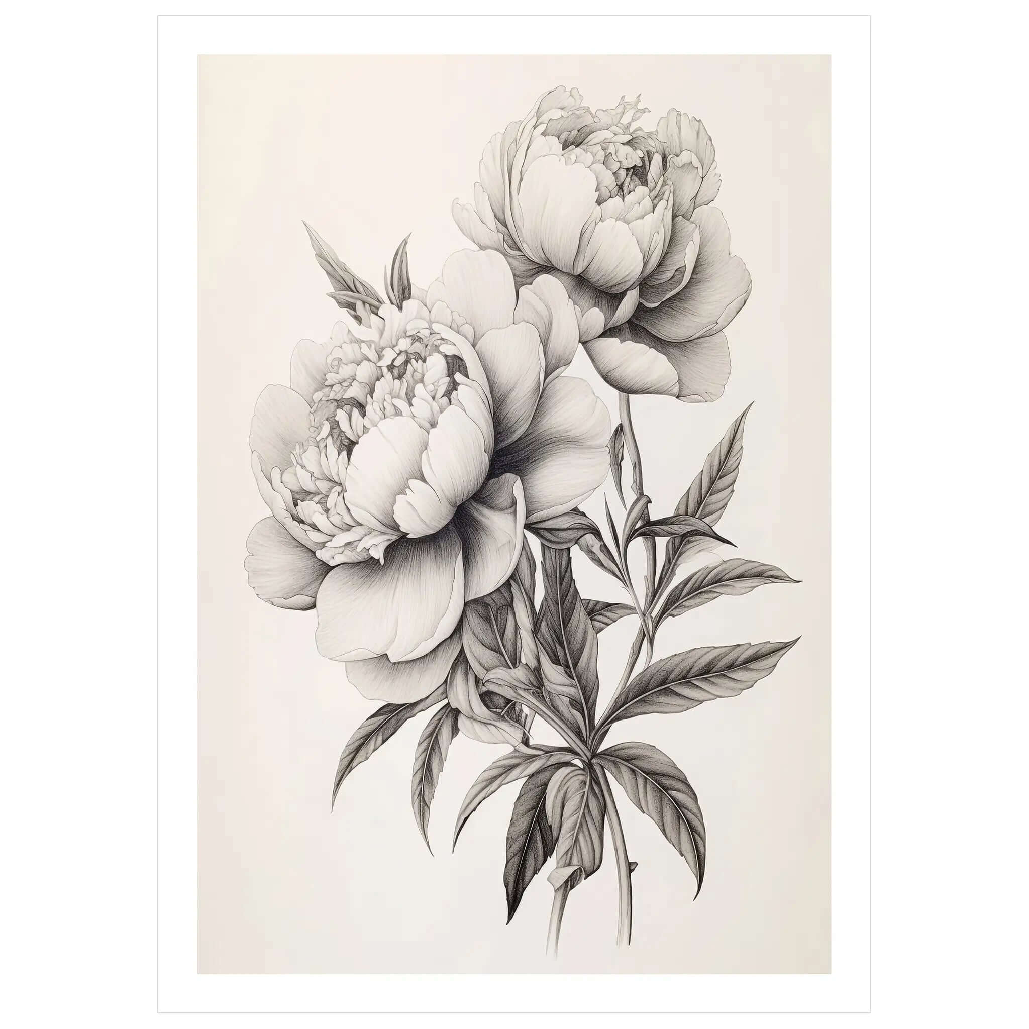 Vintage Peony Serenade